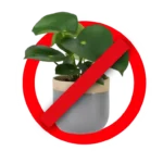 Mesa-de-trabajo-12-768x768