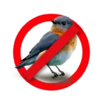 Mesa-de-trabajo-17-768x768