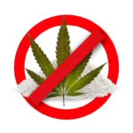 Mesa-de-trabajo-7-768x768